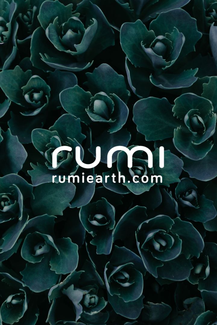 Rumi Earth - Gift Card - 